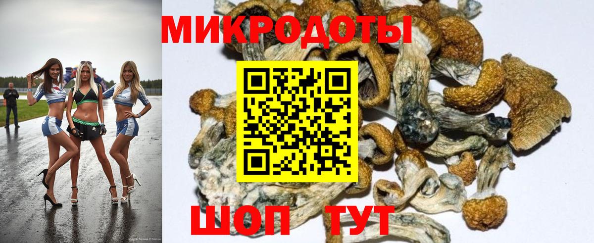 Дедовск  Галлюциногенные грибы мухоморы  Галлюциногенные грибы Psilocybine cubensis  Вход с VPN 
